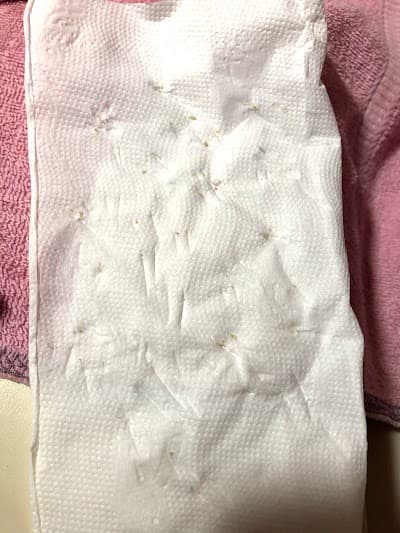 水摩妮 Spa 照片 3